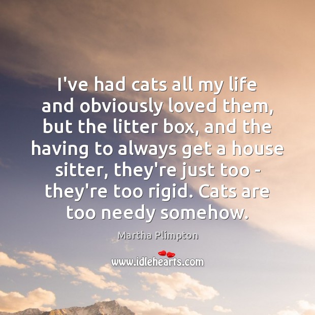 I’ve had cats all my life and obviously loved them, but the Image