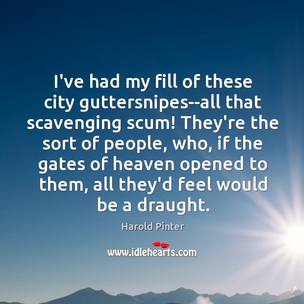 I’ve had my fill of these city guttersnipes–all that scavenging scum! They’re Harold Pinter Picture Quote