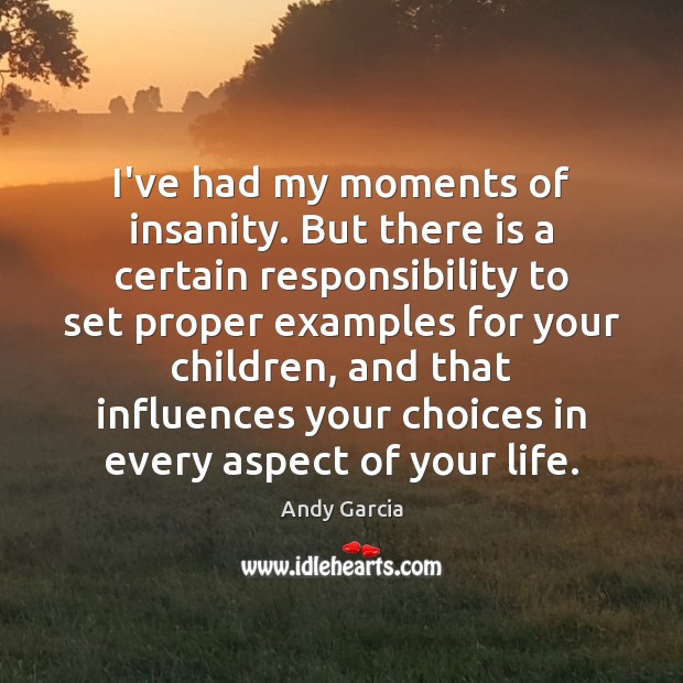 I’ve had my moments of insanity. But there is a certain responsibility Andy Garcia Picture Quote