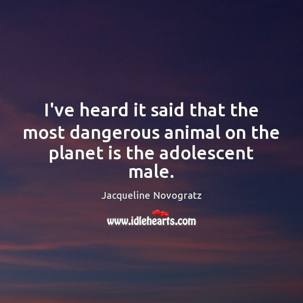 I’ve heard it said that the most dangerous animal on the planet is the adolescent male. Jacqueline Novogratz Picture Quote