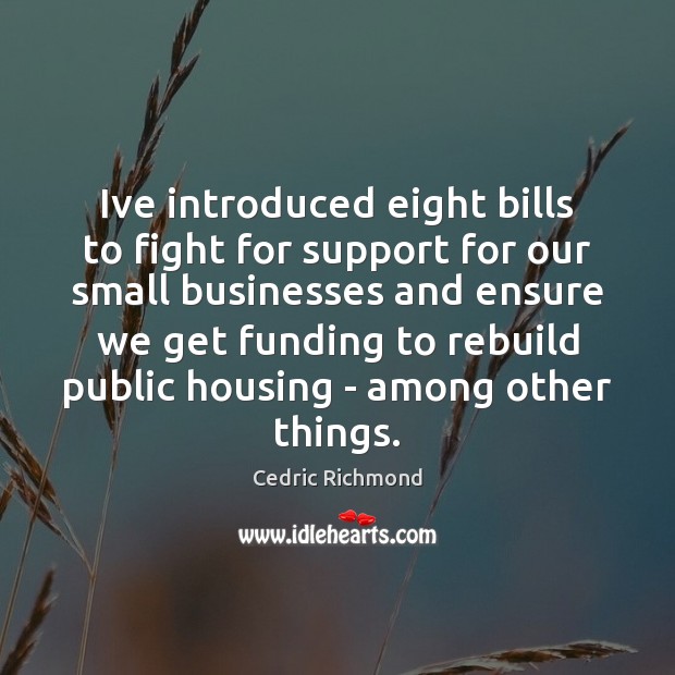 Ive introduced eight bills to fight for support for our small businesses Cedric Richmond Picture Quote