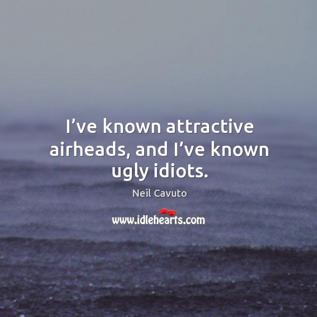 I’ve known attractive airheads, and I’ve known ugly idiots. Image