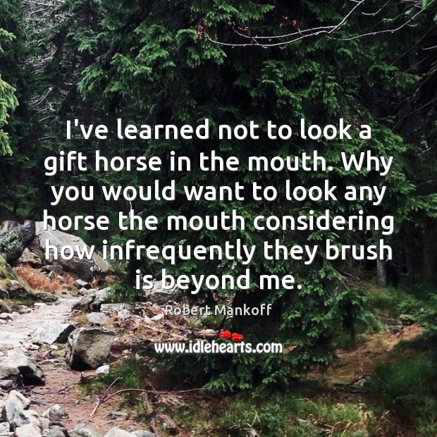 I’ve learned not to look a gift horse in the mouth. Why Image