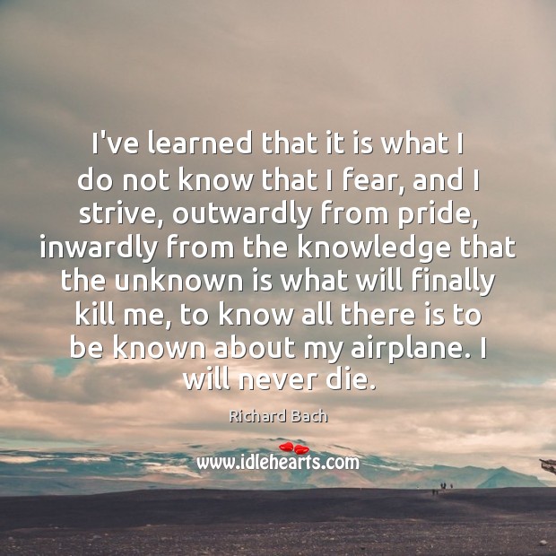 I’ve learned that it is what I do not know that I Richard Bach Picture Quote