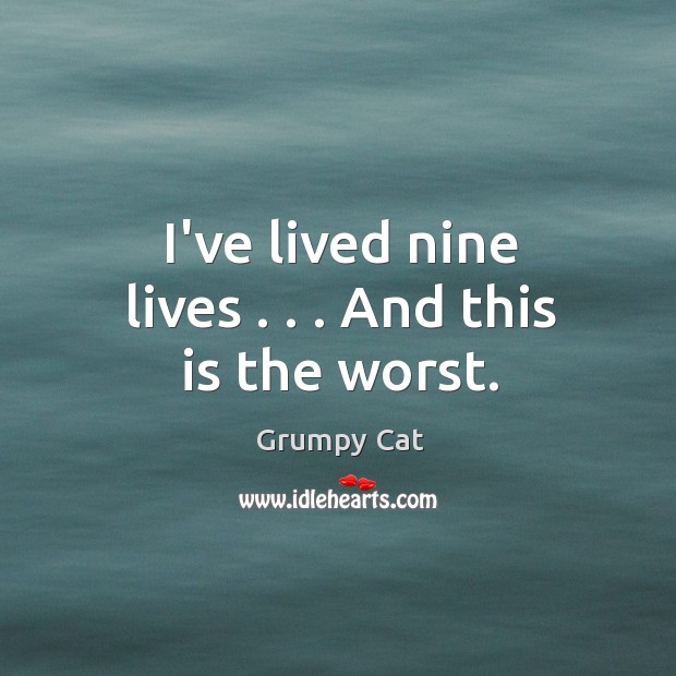 I’ve lived nine lives . . . And this is the worst. Grumpy Cat Picture Quote