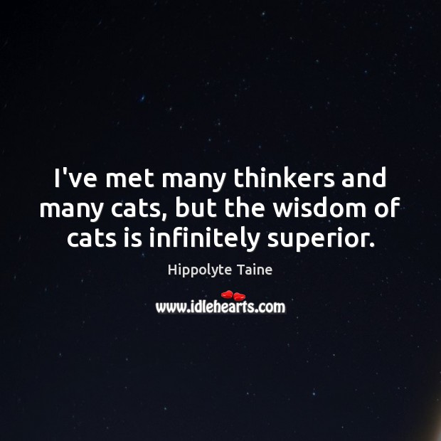 I’ve met many thinkers and many cats, but the wisdom of cats is infinitely superior. Hippolyte Taine Picture Quote