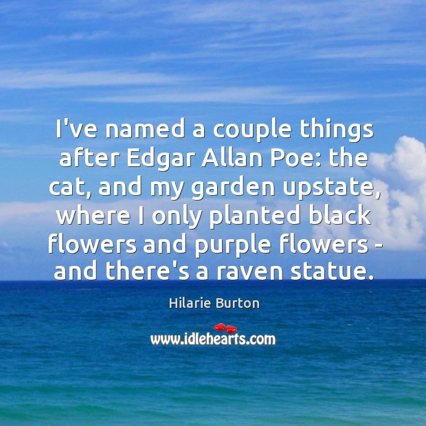 I’ve named a couple things after Edgar Allan Poe: the cat, and Image