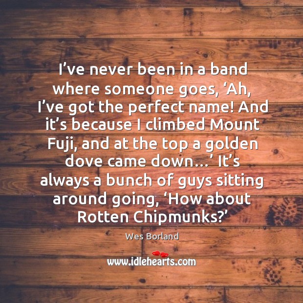 I’ve never been in a band where someone goes, ‘ah, I’ve got the perfect name! Wes Borland Picture Quote