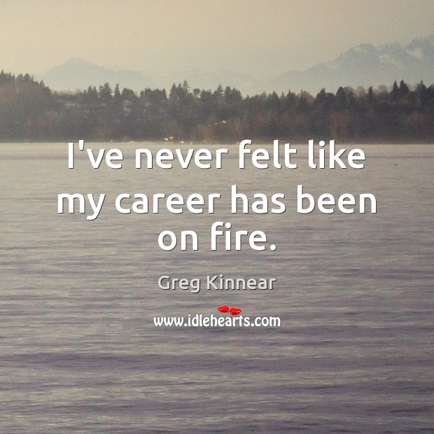 I’ve never felt like my career has been on fire. Greg Kinnear Picture Quote