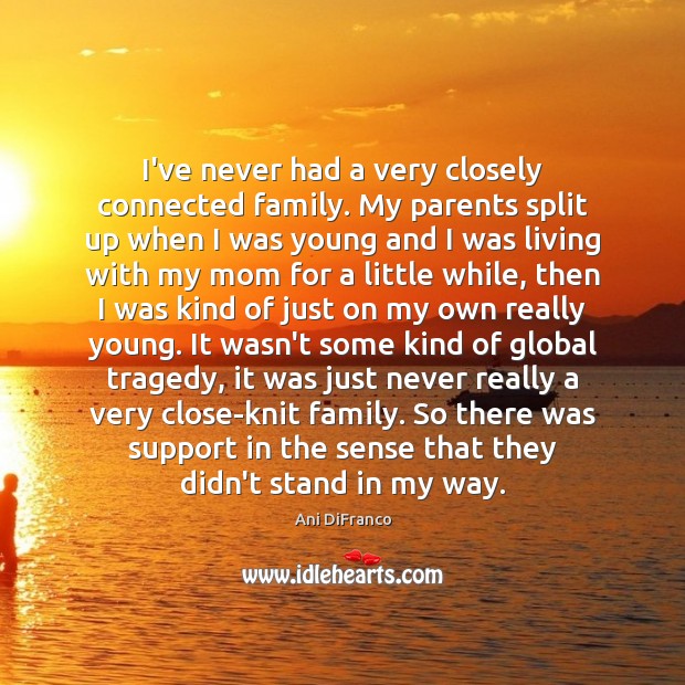 I’ve never had a very closely connected family. My parents split up Ani DiFranco Picture Quote