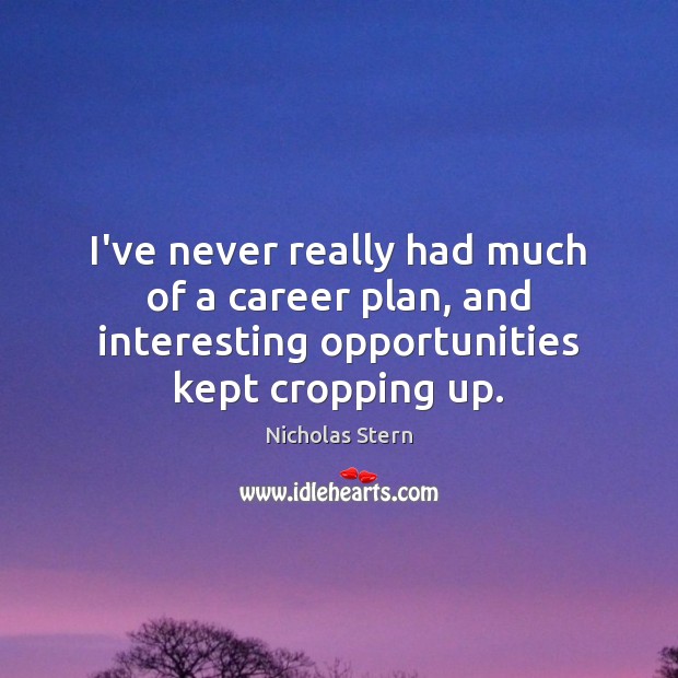 I’ve never really had much of a career plan, and interesting opportunities Nicholas Stern Picture Quote