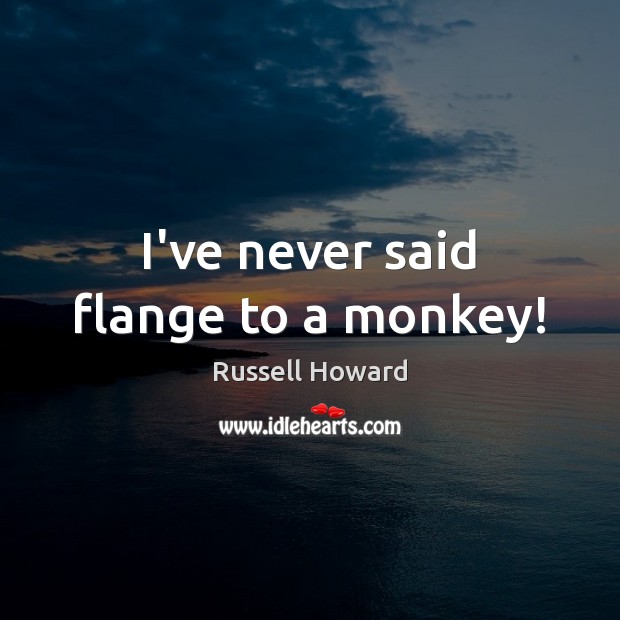 I’ve never said flange to a monkey! Image