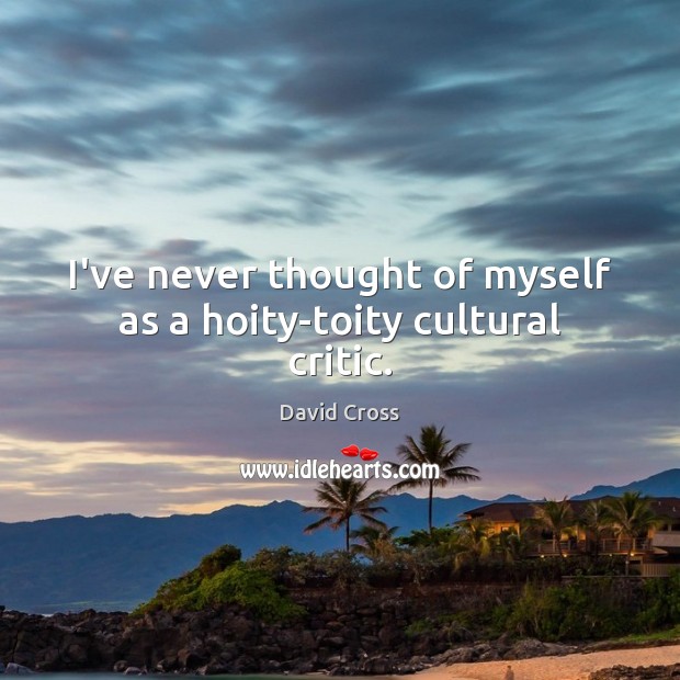 I’ve never thought of myself as a hoity-toity cultural critic. Image