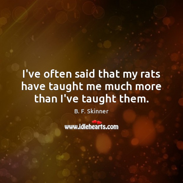 I’ve often said that my rats have taught me much more than I’ve taught them. B. F. Skinner Picture Quote