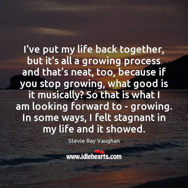I’ve put my life back together, but it’s all a growing process Stevie Ray Vaughan Picture Quote