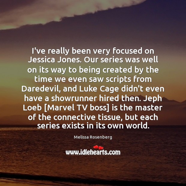 I’ve really been very focused on Jessica Jones. Our series was well Melissa Rosenberg Picture Quote