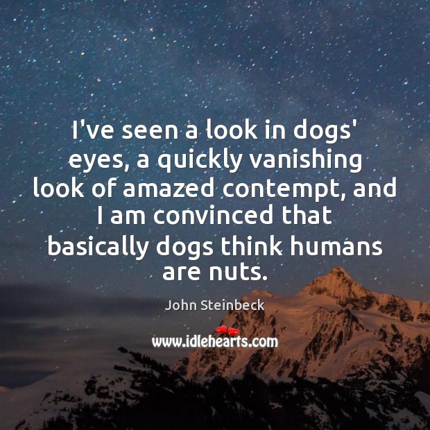 I’ve seen a look in dogs’ eyes, a quickly vanishing look of John Steinbeck Picture Quote