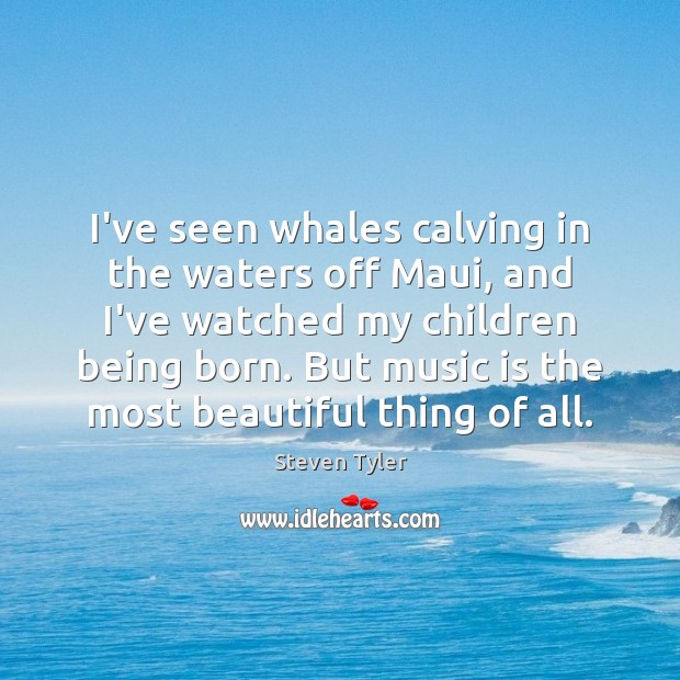 I’ve seen whales calving in the waters off Maui, and I’ve watched Steven Tyler Picture Quote