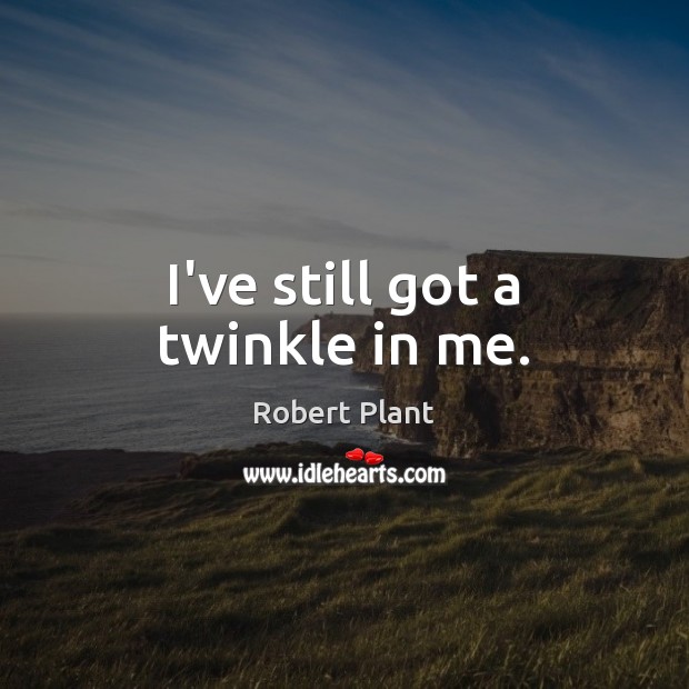 I’ve still got a twinkle in me. Robert Plant Picture Quote
