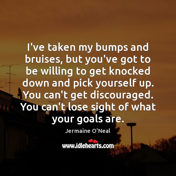 I’ve taken my bumps and bruises, but you’ve got to be willing Jermaine O’Neal Picture Quote