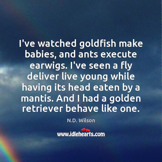 I’ve watched goldfish make babies, and ants execute earwigs. I’ve seen a Execute Quotes Image