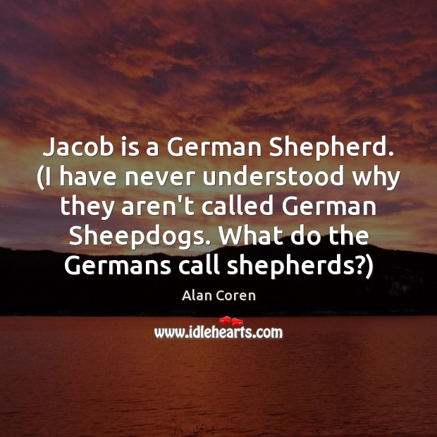 Jacob is a German Shepherd. (I have never understood why they aren’t Alan Coren Picture Quote