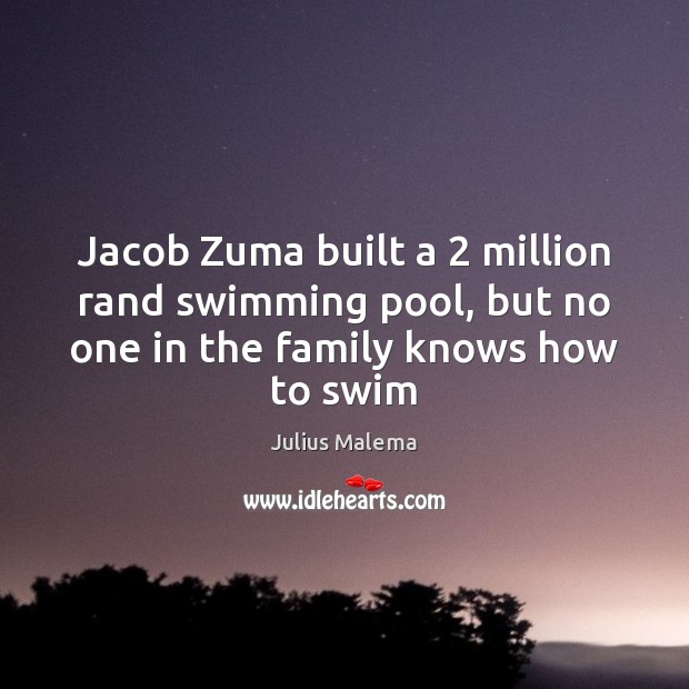 Jacob Zuma built a 2 million rand swimming pool, but no one in Julius Malema Picture Quote