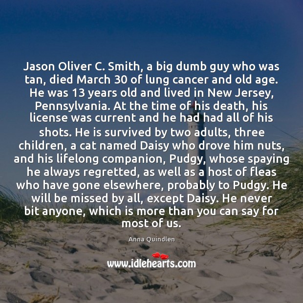 Jason Oliver C. Smith, a big dumb guy who was tan, died Anna Quindlen Picture Quote