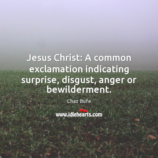 Jesus Christ: A common exclamation indicating surprise, disgust, anger or bewilderment. Chaz Bufe Picture Quote