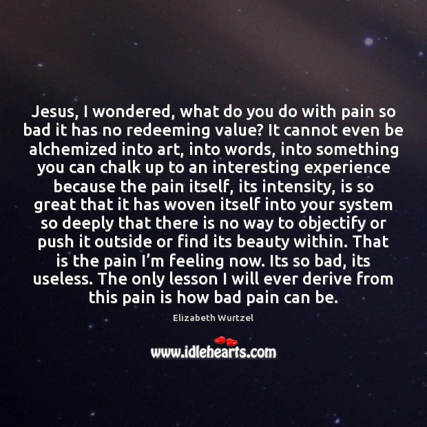 Jesus, I wondered, what do you do with pain so bad it Elizabeth Wurtzel Picture Quote