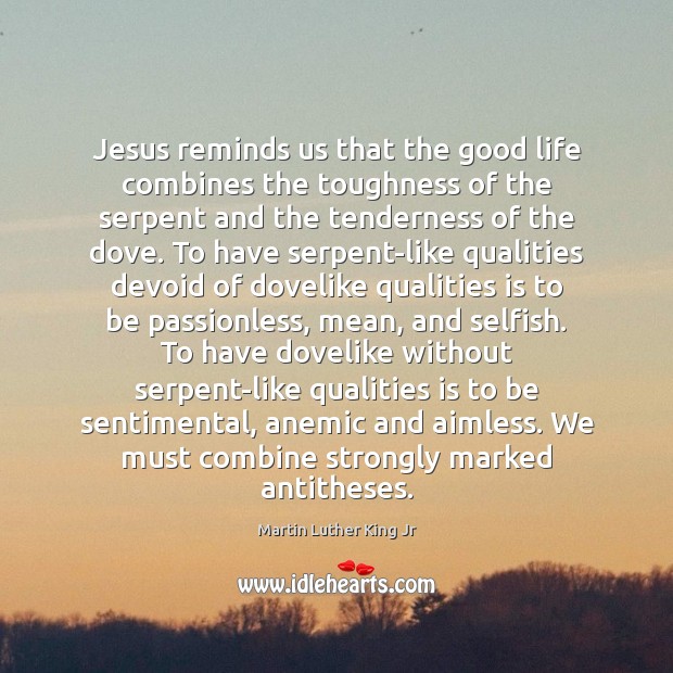 Jesus reminds us that the good life combines the toughness of the Image