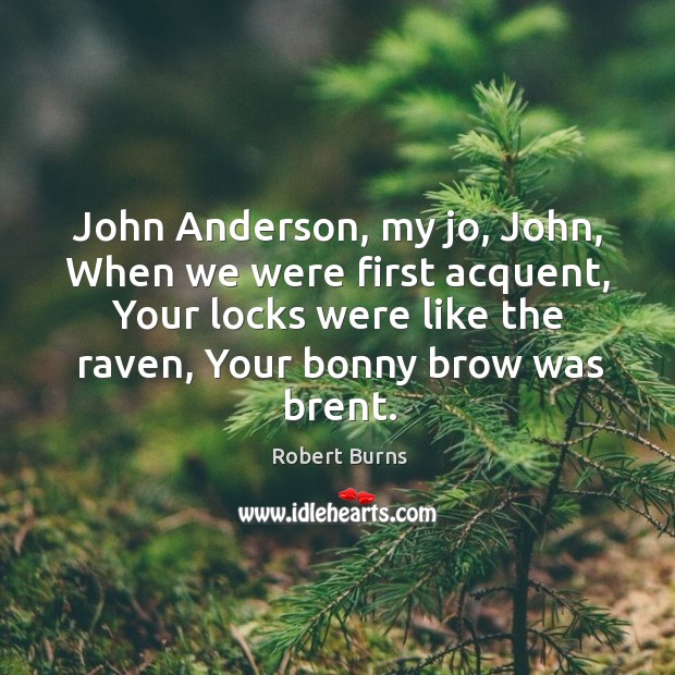 John anderson, my jo, john, when we were first acquent, your locks were like the raven, your bonny brow was brent. Robert Burns Picture Quote