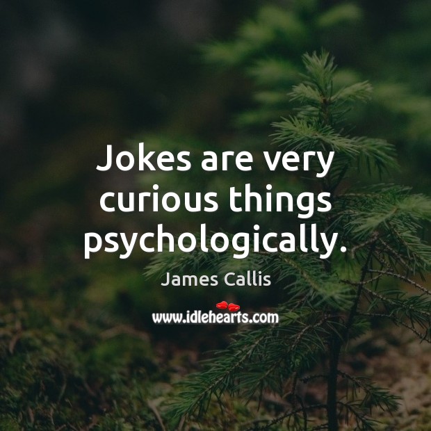 Jokes are very curious things psychologically. Image
