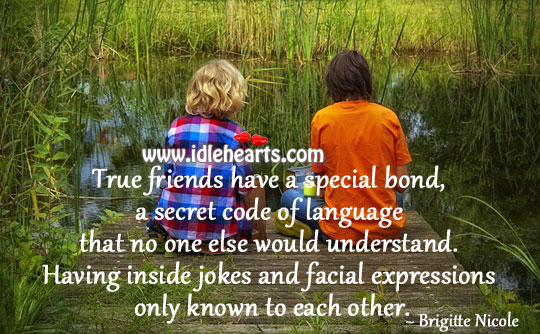 True friends have a special bond Brigitte Nicole Picture Quote