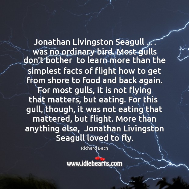Jonathan Livingston Seagull . . . was no ordinary bird. Most gulls don’t bother  to Richard Bach Picture Quote
