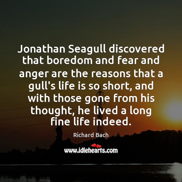 Jonathan Seagull discovered that boredom and fear and anger are the reasons Richard Bach Picture Quote