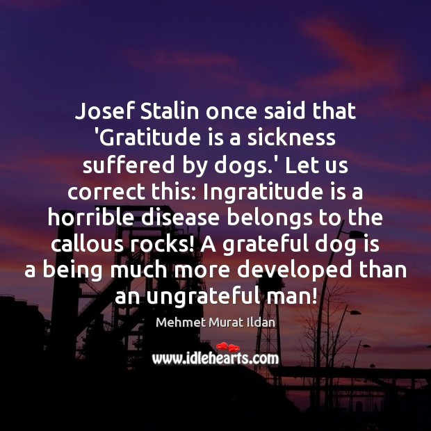 Josef Stalin once said that ‘Gratitude is a sickness suffered by dogs. Image