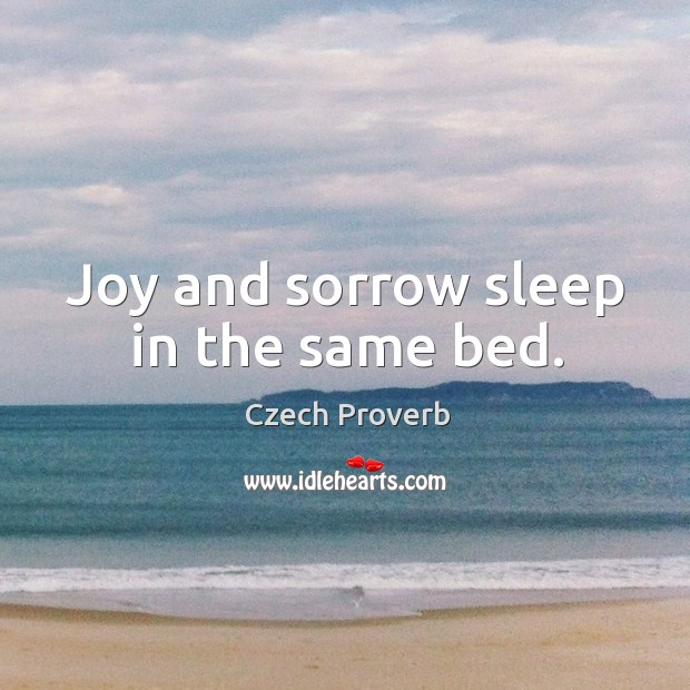 Joy and sorrow sleep in the same bed. Czech Proverbs Image