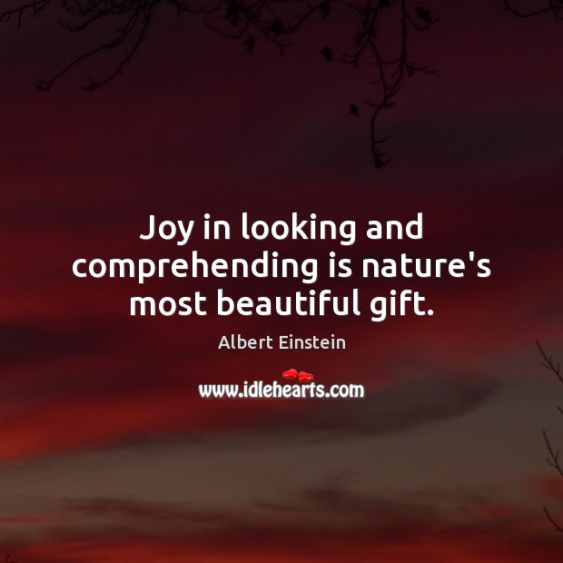 Joy in looking and comprehending is nature’s most beautiful gift. Image