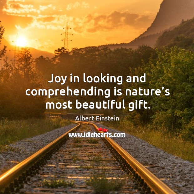 Joy in looking and comprehending is nature’s most beautiful gift. 