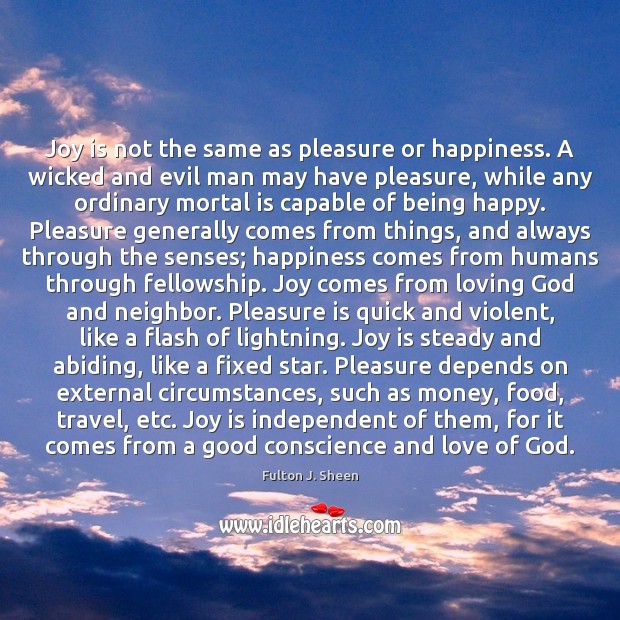 Joy is not the same as pleasure or happiness. A wicked and Fulton J. Sheen Picture Quote