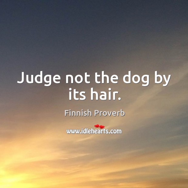 Judge not the dog by its hair. Finnish Proverbs Image
