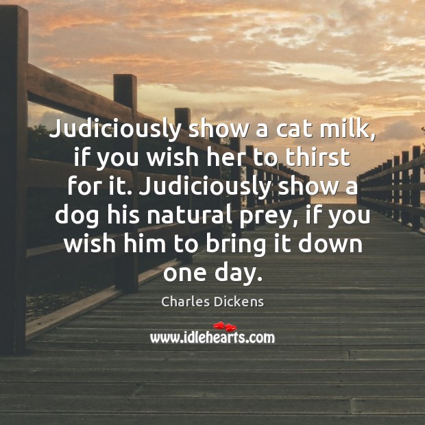 Judiciously show a cat milk, if you wish her to thirst for Charles Dickens Picture Quote
