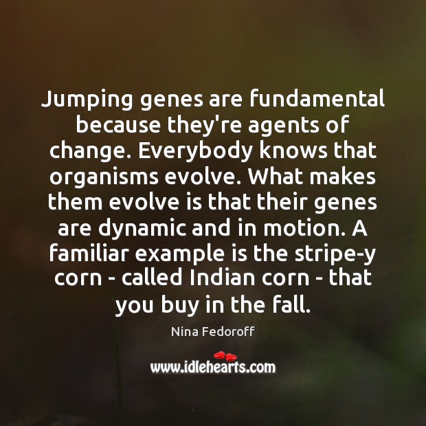 Jumping genes are fundamental because they’re agents of change. Everybody knows that Nina Fedoroff Picture Quote