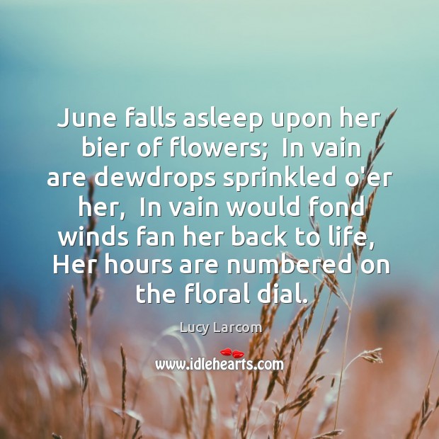 June falls asleep upon her bier of flowers;  In vain are dewdrops Lucy Larcom Picture Quote