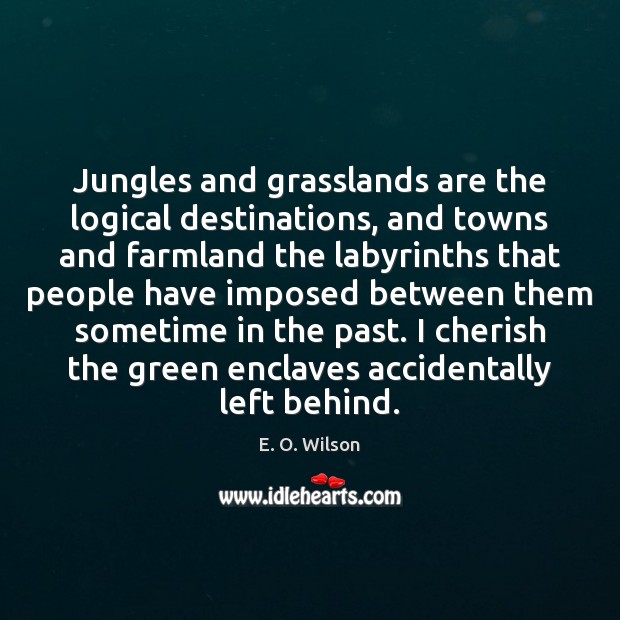 Jungles and grasslands are the logical destinations, and towns and farmland the Image