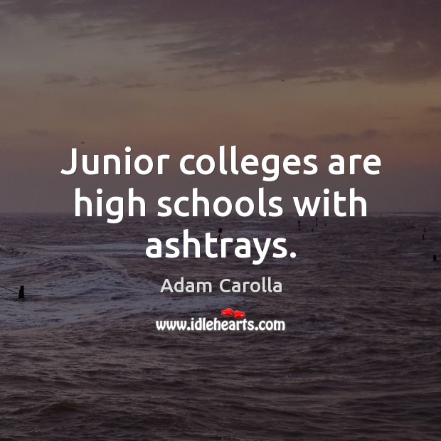 Junior colleges are high schools with ashtrays. Adam Carolla Picture Quote