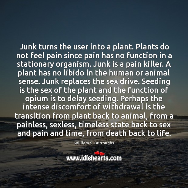 Junk turns the user into a plant. Plants do not feel pain Image