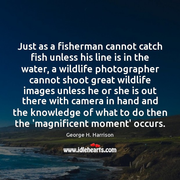 Just as a fisherman cannot catch fish unless his line is in George H. Harrison Picture Quote