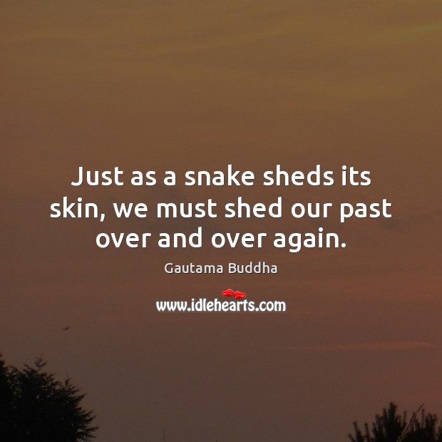 Just as a snake sheds its skin, we must shed our past over and over again. Image
